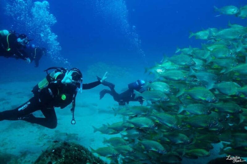 Lanzarote: Snorkeling Tour - The Benefits of Guided Snorkeling