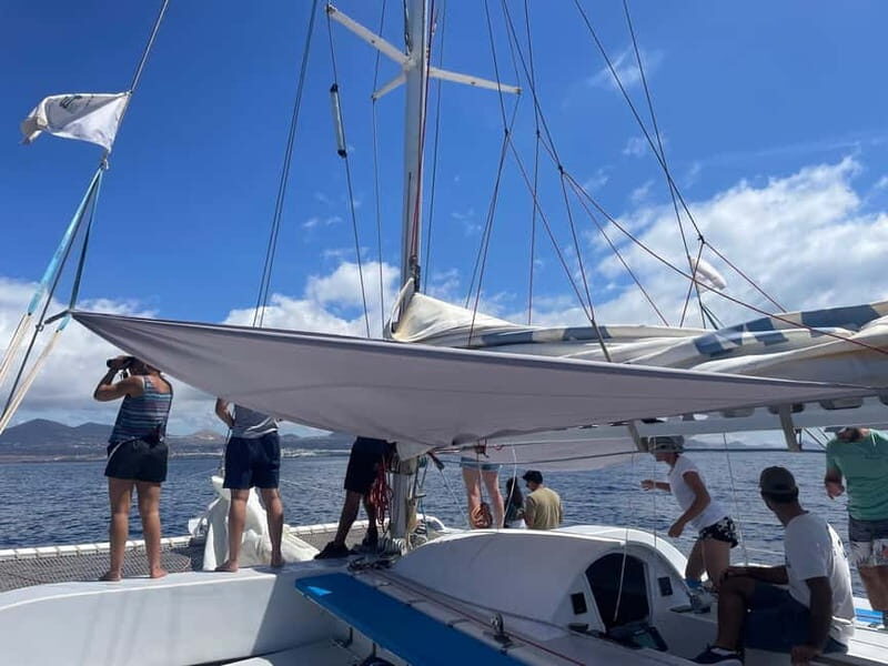Lanzarote Sunset Experience with dolphin spotting - In Brief: Is This Tour Right for You?