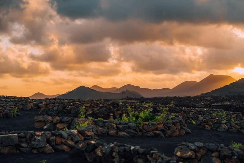 Lanzarote: Sunset vineyard tour with wine and chocolate tasting - Key Points