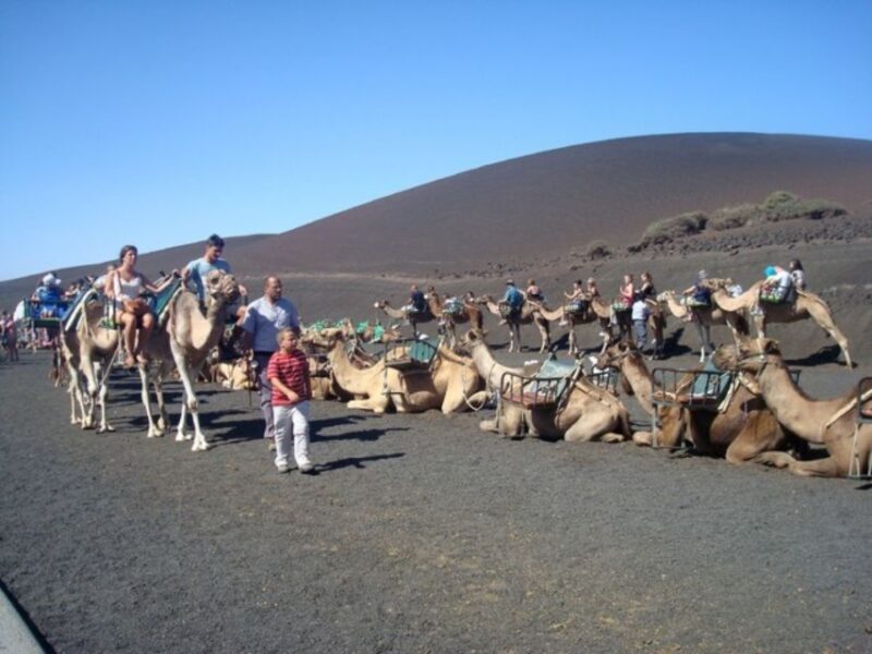 Lanzarote: Timanfaya National Park Tour - Transport, Timing, and Practicalities