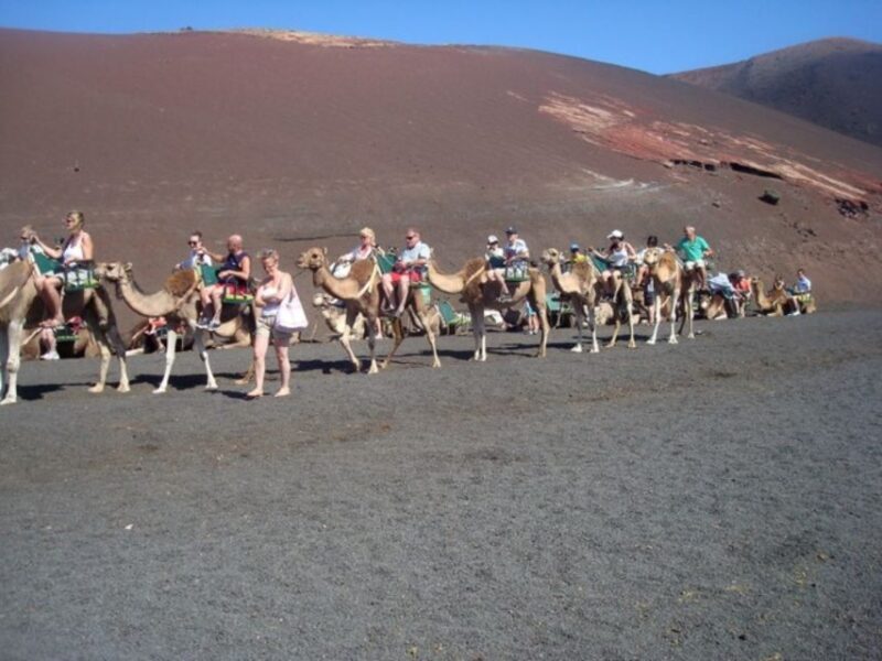 Lanzarote: Timanfaya National Park Tour - Who Should Consider This Tour?