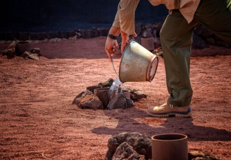 Lanzarote: Timanfaya National Park Volcanic Craters Tour - Who Should Consider This Tour?