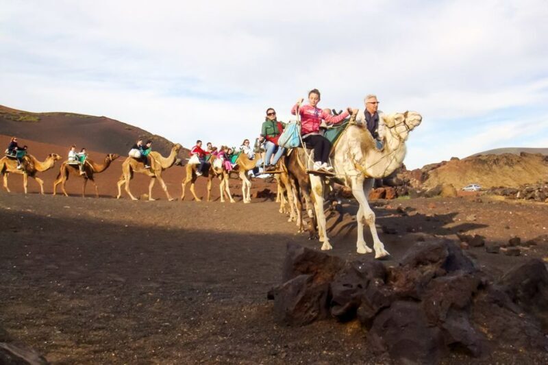 Lanzarote: Timanfaya Park and Jameos del Agua Full-Day Tour - Honest Thoughts Based on Reviews