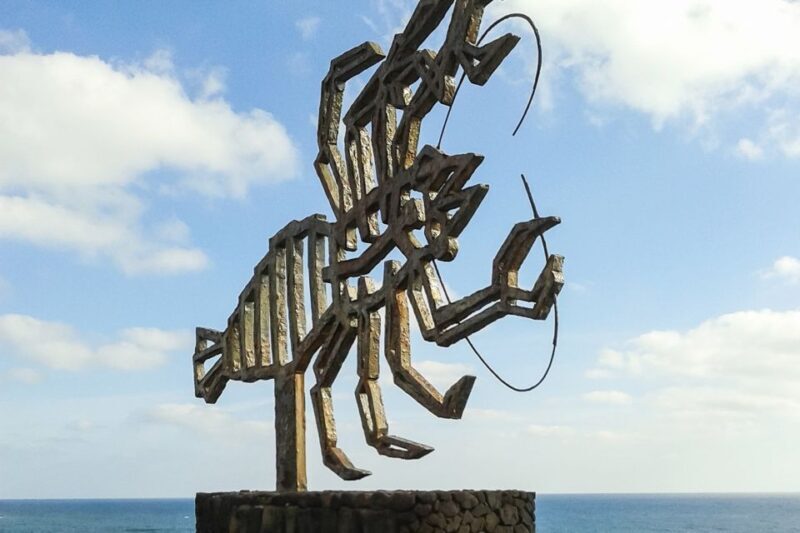 Lanzarote: Timanfaya Park and Jameos del Agua Full-Day Tour - Who Should Consider This Tour?