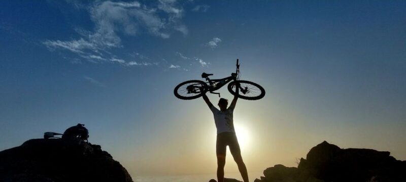 Lanzarote: Timanfaya Volcanic Natural Park E-Bike Tour - The bikes and safety