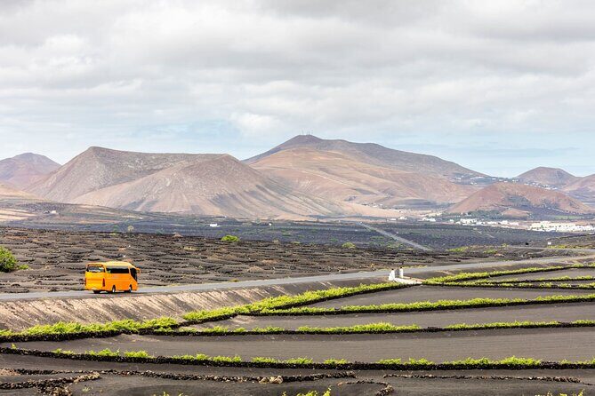 Lanzarote Tour with Timanfaya National Park and El Golfo - Final Thoughts