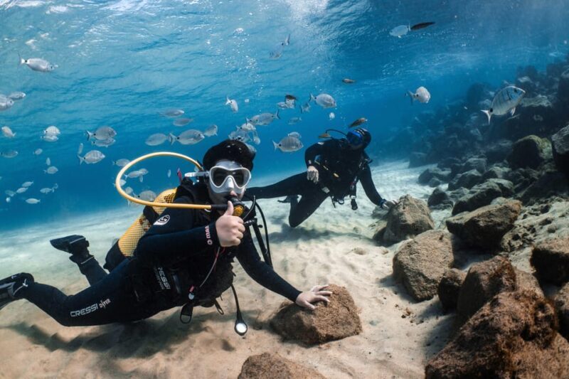 Lanzarote: Try Scuba Diving for Beginners - 2 Dives - Key Points