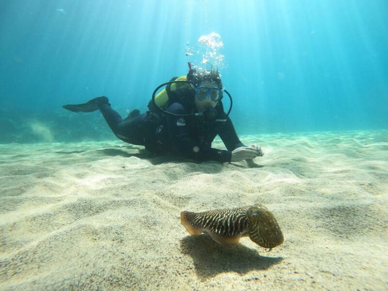 Lanzarote: Try Scuba Diving for Beginners - 2 Dives - What Are the Drawbacks?