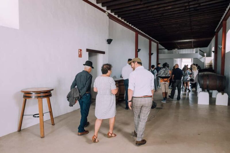 Lanzarote: Vineyard Tour & Blind Wine Tasting - Lanzarote: Vineyard Tour & Blind Wine Tasting – An Honest Look