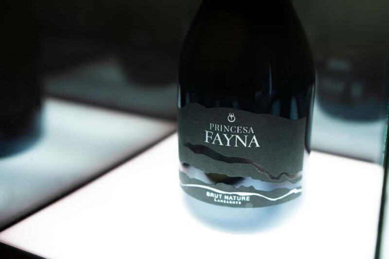 Lanzarote: Vineyard Tour & Blind Wine Tasting - What to Expect From This Lanzarote Experience