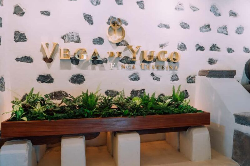 Lanzarote: Vineyard Tour & Blind Wine Tasting - The Experience in Practice