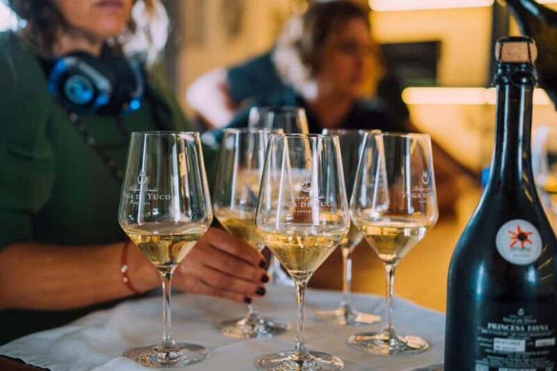 Lanzarote: Vineyard Tour & Blind Wine Tasting - Who Will Love This Tour?