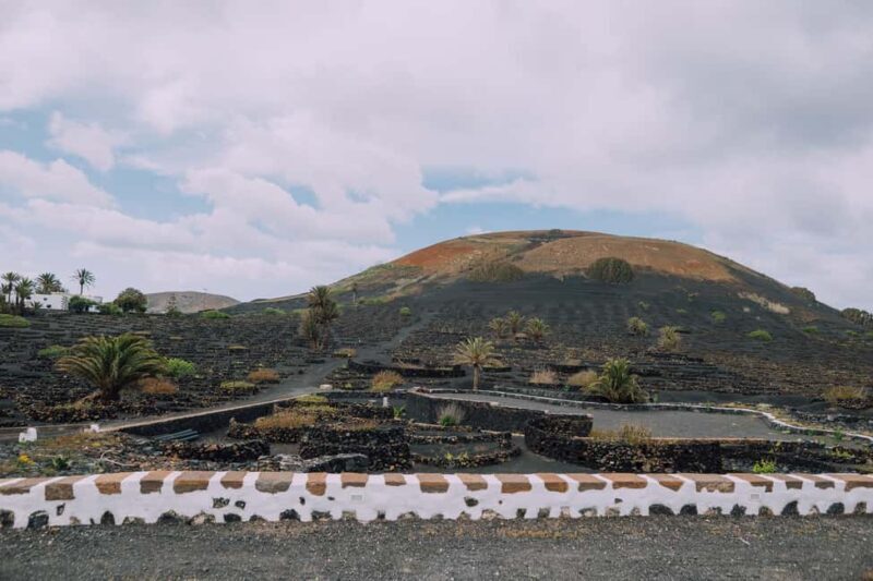 Lanzarote: Vineyard Tour & Wine Tasting with Cheese - Who Should Consider This Tour?