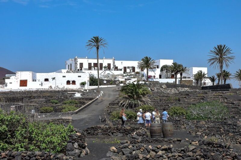 Lanzarote: Vineyard Tour with Wine and Chocolate Tasting - Lanzarote: Vineyard Tour with Wine and Chocolate Tasting — An Honest Look