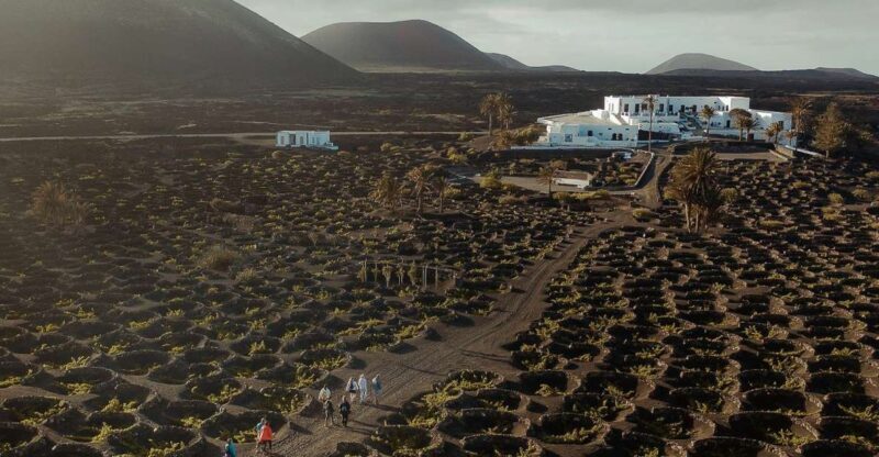 Lanzarote: Vineyard Tour with Wine and Chocolate Tasting - The Itinerary in Detail