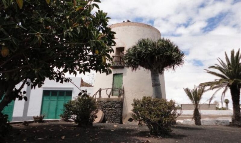 Lanzarote: Visit a traditional mill and taste our gofio. - Final thoughts