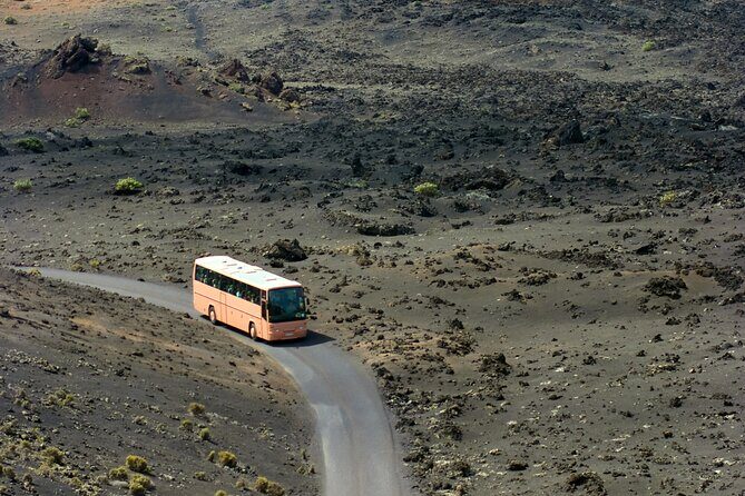 Lanzarote Volcano and Wine Region Tour from Fuerteventura - Who Is This Tour Best Suited For?