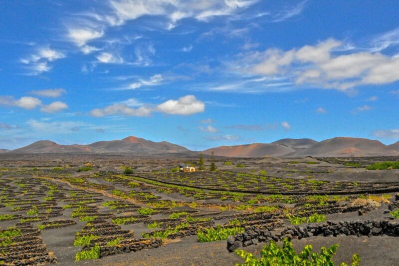 Lanzarote: Volcanos of Timanfaya and Caves Tour with Lunch - FAQs