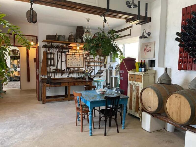 Lanzarote:"The Soul of the wine" Tour: Taste of winemaking - An In-Depth Look at the Experience