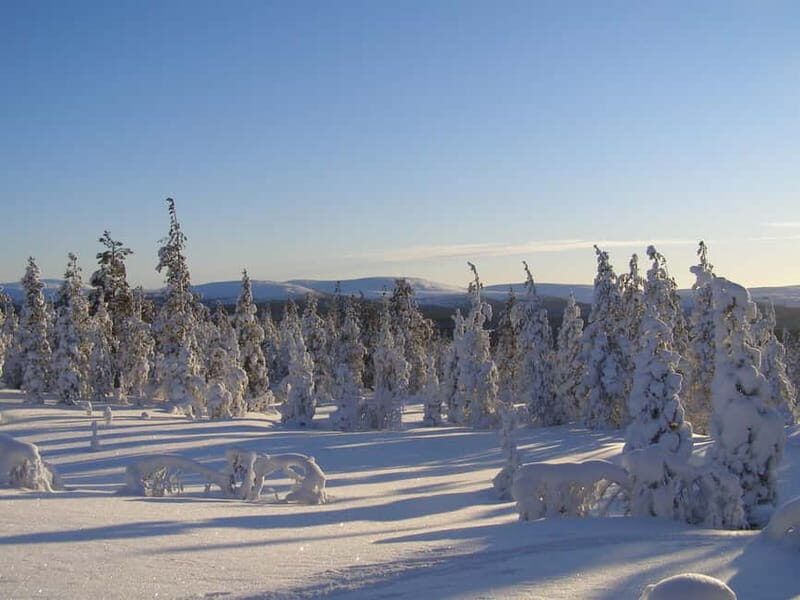 Lapland: A Day at a Traditional Log Cabin & Snowshoe Trek - Starting the Day: Pickup and Drive to the Wilderness Cabin