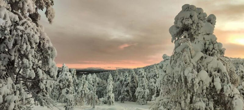 Lapland: Exclusive Private 7h Snowmobile Tour with Guide - Final Thoughts