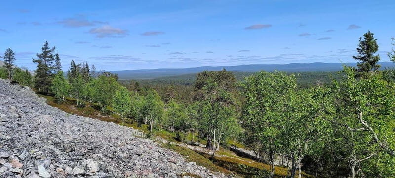 Lapland: Guided Hiking Tour in the Pristine Nature in Luosto - Key Points