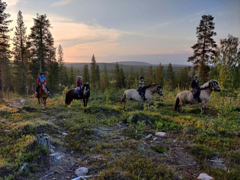 Lapland: Horse Ride to the Hill - Key Points