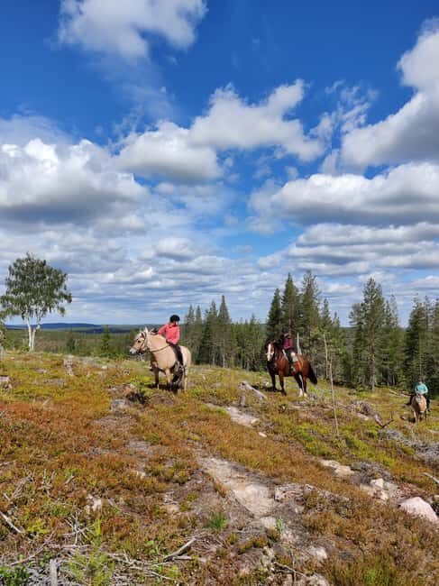 Lapland: Horse Ride to the Hill - An Introduction to the Experience