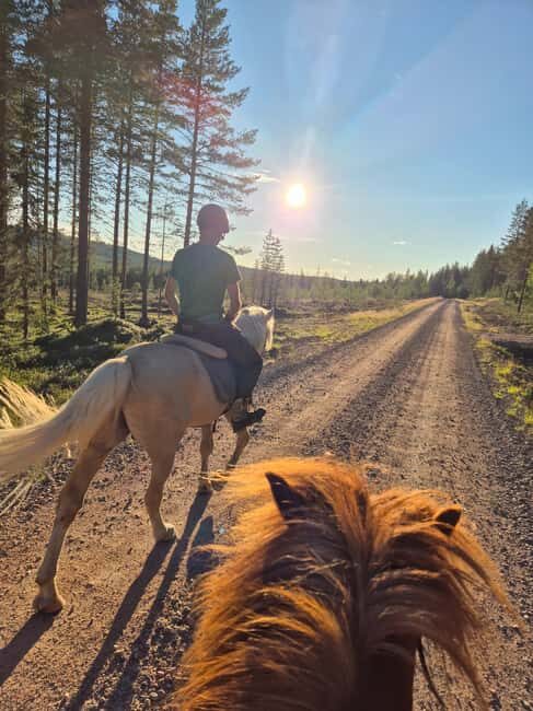 Lapland: Horse Ride to the Hill - The Practicalities: What You Should Know