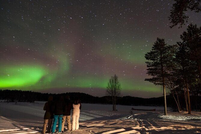 Lapland Husky Safari from Saariselkä - The Experience in Action: What Travelers Say