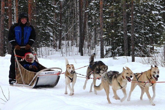 Lapland Husky Safari from Saariselkä - The Downside
