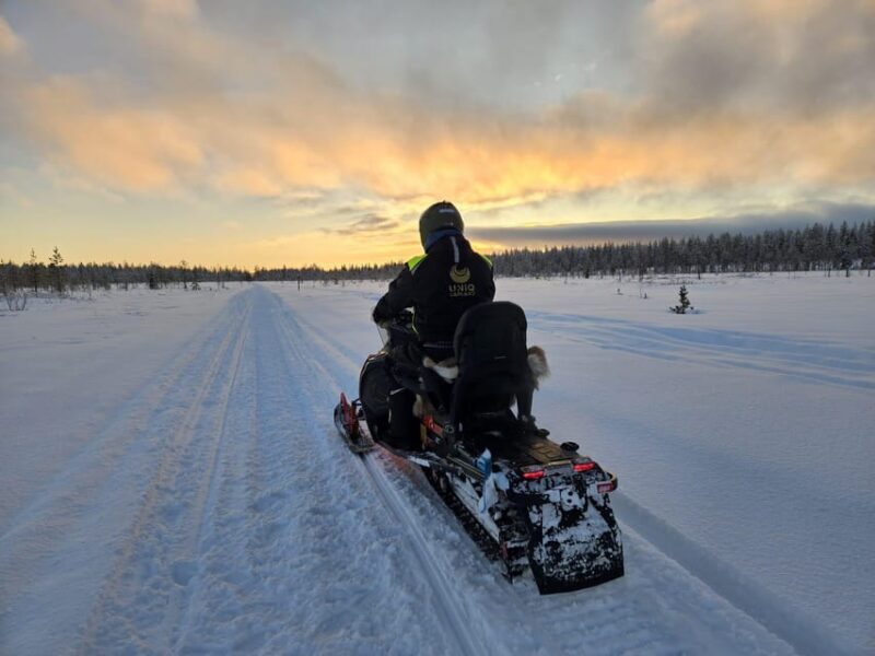Lapland: Private Snowmobile Safari with arctic Local Guide - Final Thoughts
