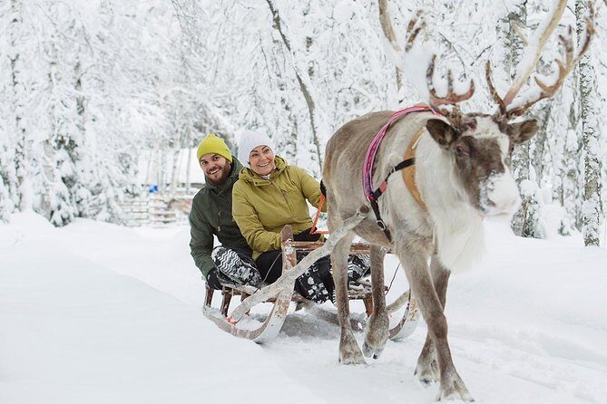 Lapland Reindeer and Husky Safari from Rovaniemi - Practical Information and Tips