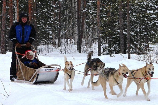 Lapland Reindeer and Husky Safari from Rovaniemi - Pros and Cons in a Nutshell