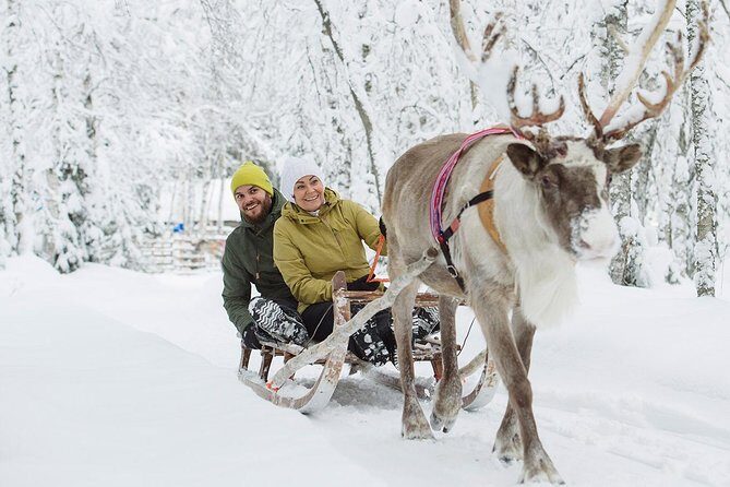 Lapland Reindeer Safari from Rovaniemi - What is the Lapland Reindeer Safari from Rovaniemi?