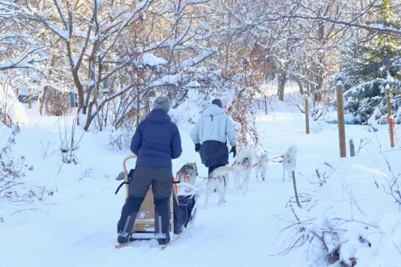 Lappeenranta: Husky Farm Visit and Sleigh Ride and Tiipii - Is This Tour Right for You?