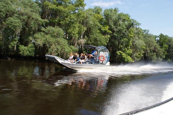 Large Airboat Swamp Tour with Transportation from New Orleans - The Experience in Detail