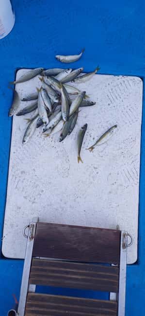 Larnaca: Private Fishing - Traditional Explorer N Vessel - Key Points