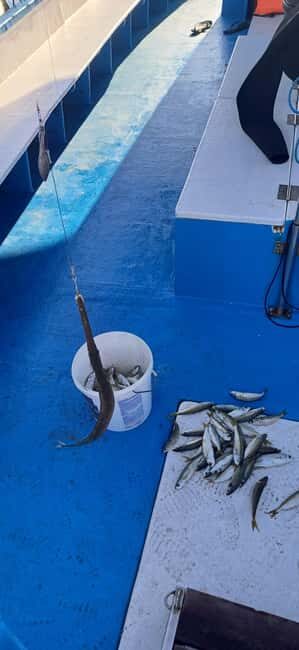 Larnaca: Private Fishing - Traditional Explorer N Vessel - An Authentic Taste of Cypriot Marine Life