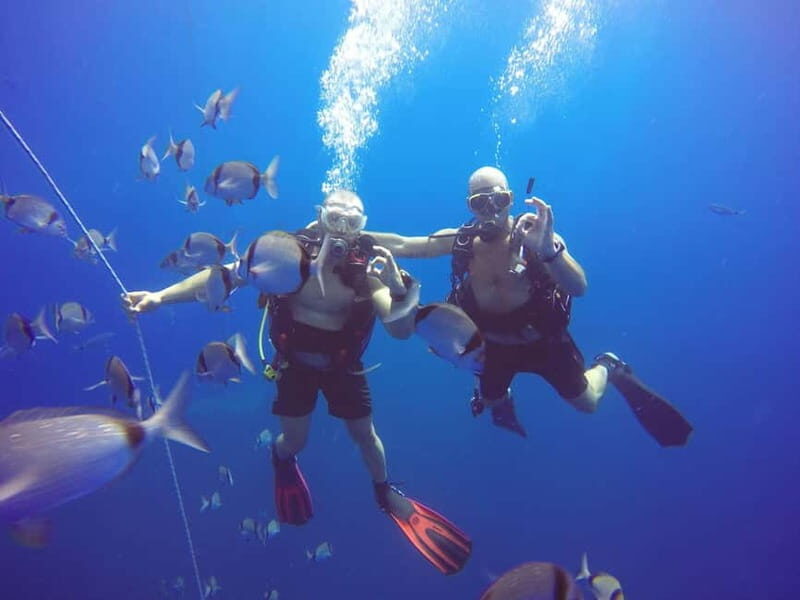 Larnaca: Private Zenobia Beginners Divers - Key Points