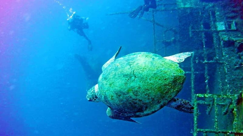 Larnaca: Private Zenobia Beginners Divers - What Makes This Tour Stand Out