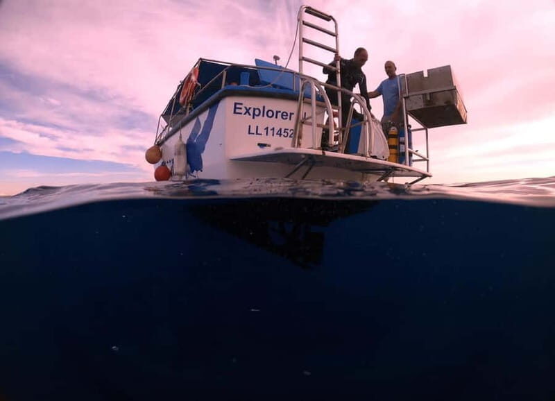 Larnaca: Snorkelling Zenobia Wreck Plus Mini Cruise - Key Points