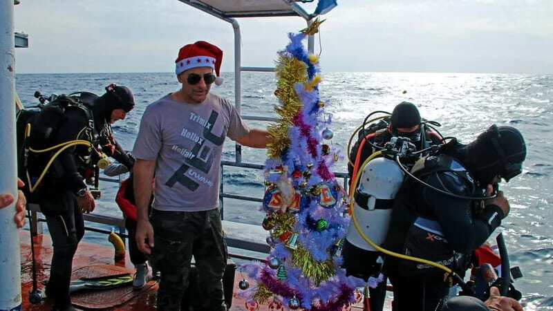 Larnaca: Zenobia Qualified Divers - Frequently Asked Questions