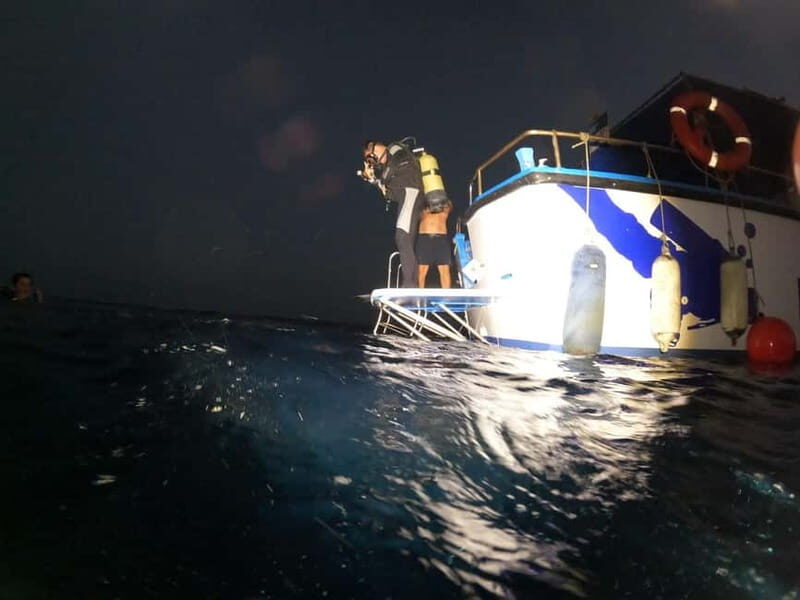 Larnaca: Zenobia Wreck Night Dive Certification With SSI - Key Points