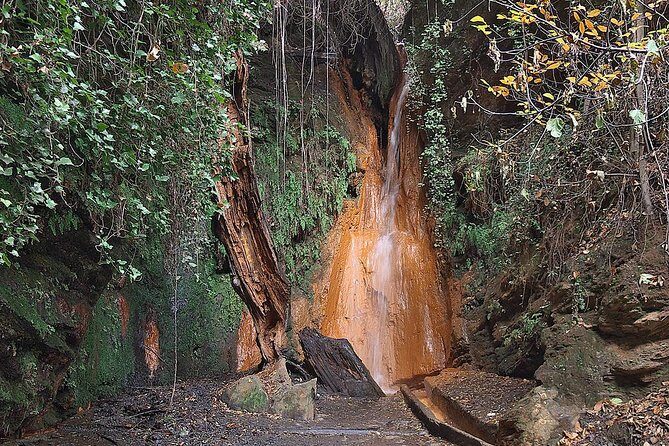 Las Alpujarras Full-Day Tour with Optional Lunch from Granada - Practical Details and What You Need to Know