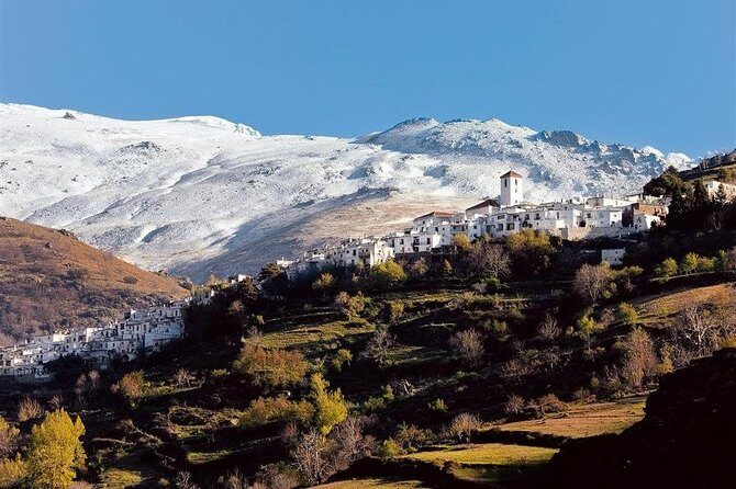 Las Alpujarras Full-Day Tour with Optional Lunch from Granada - What the Reviews Tell Us