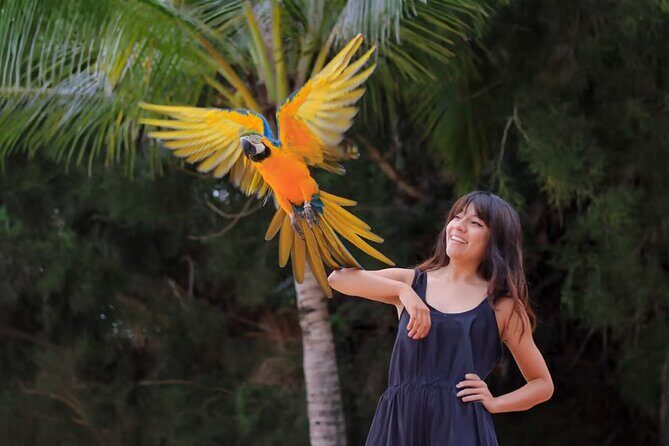 Las Caletas The Best Kept Secret of Puerto Vallarta - Key Points