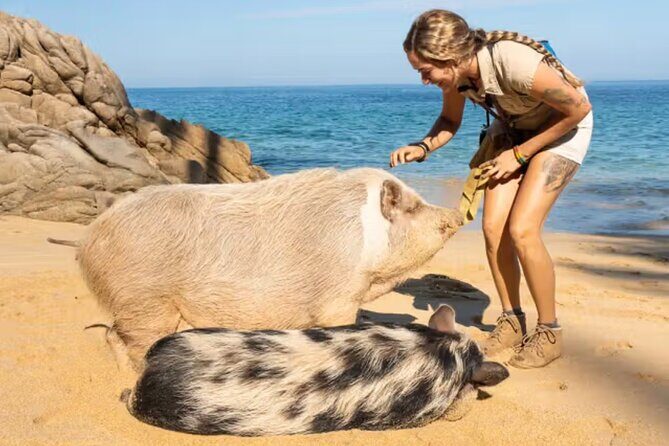 Las Caletas The Best Kept Secret of Puerto Vallarta - Overall Experience and Value