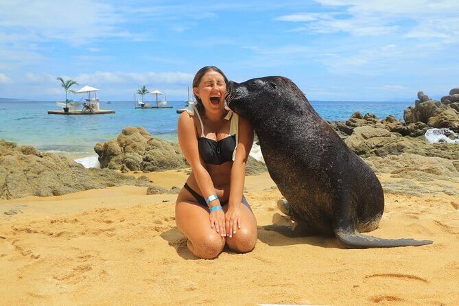 Las Caletas The Best Kept Secret of Puerto Vallarta - Who Should Consider This Tour?