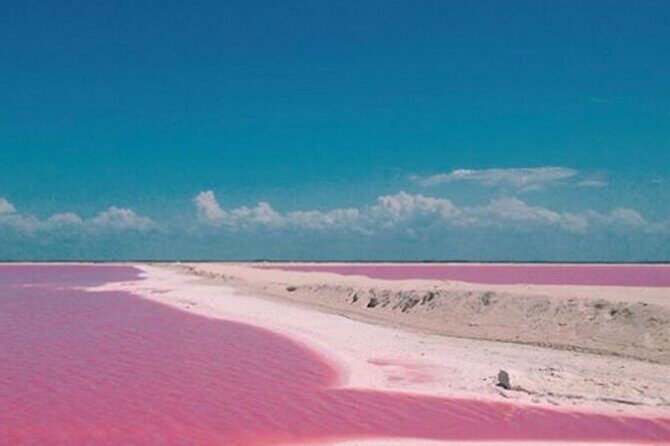 Las Coloradas Amazing Pink Lake & Rio Lagartos from Tulum - Exploring the Itinerary in Detail
